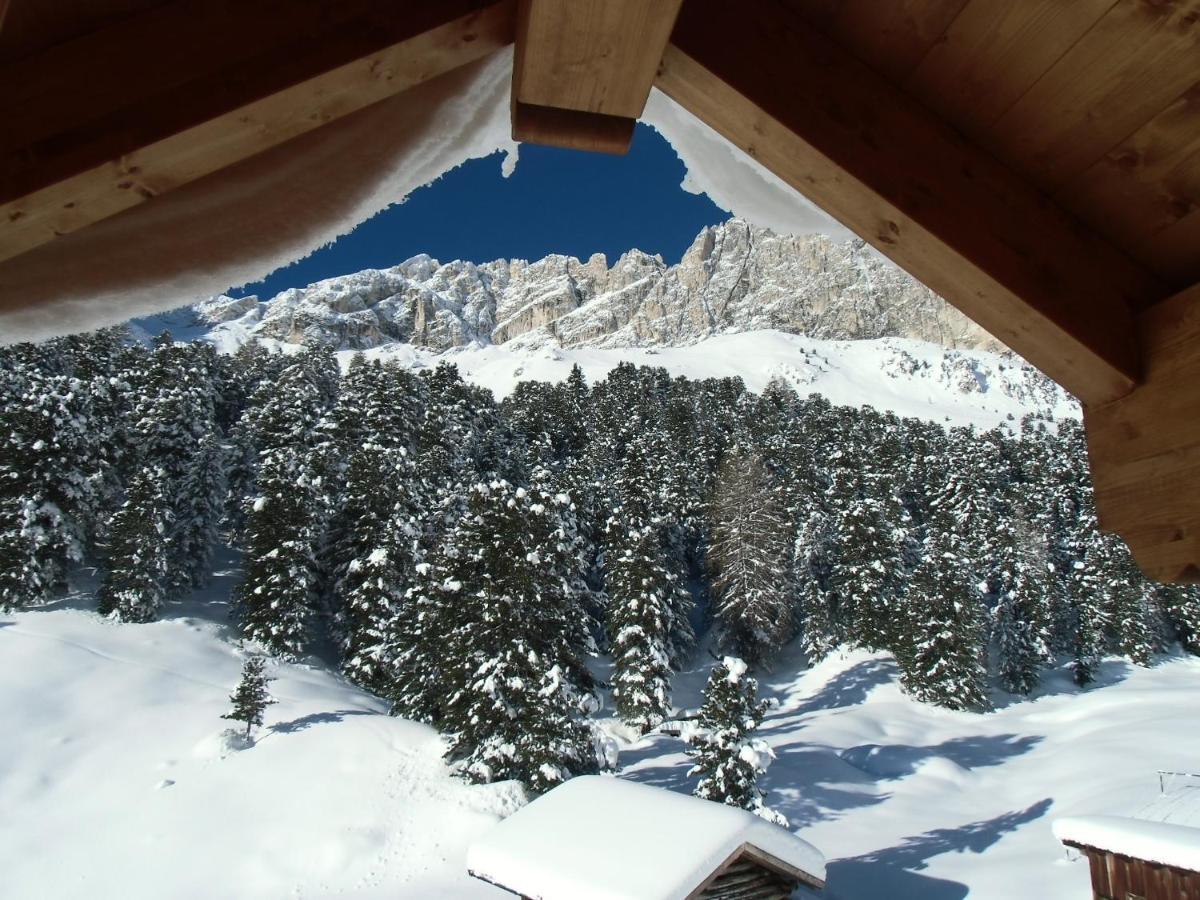 Hotel Rifugio Stella Alpina Spiz Piaz Per Escursionisti Pozza di Fassa Zewnętrze zdjęcie